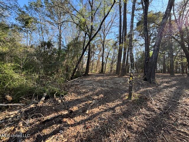 11900 Johns Bayou Road, Vancleave, Mississippi image 15