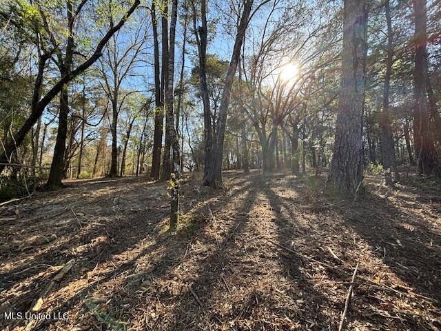 11900 Johns Bayou Road, Vancleave, Mississippi image 14