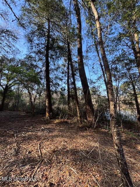 11900 Johns Bayou Road, Vancleave, Mississippi image 18