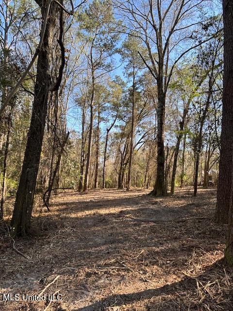 11900 Johns Bayou Road, Vancleave, Mississippi image 16