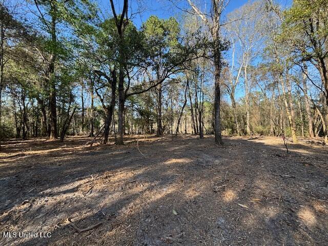 11900 Johns Bayou Road, Vancleave, Mississippi image 8