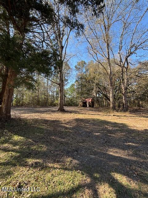 11900 Johns Bayou Road, Vancleave, Mississippi image 4