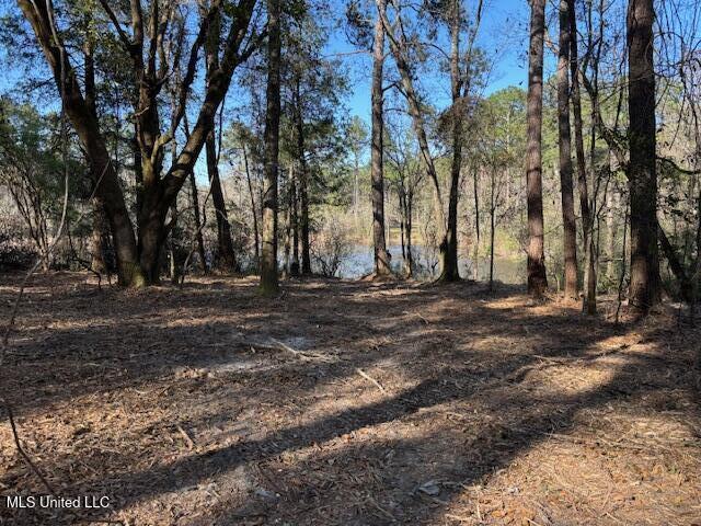 11900 Johns Bayou Road, Vancleave, Mississippi image 10