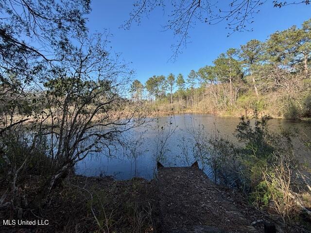 11900 Johns Bayou Road, Vancleave, Mississippi image 13