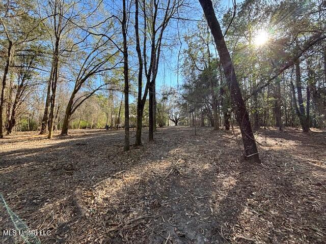 11900 Johns Bayou Road, Vancleave, Mississippi image 9