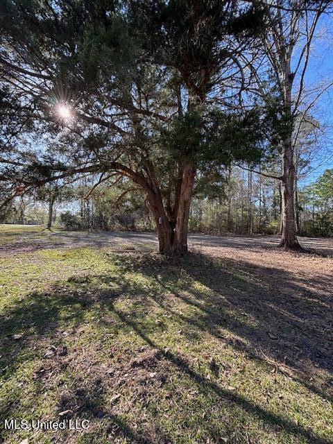 11900 Johns Bayou Road, Vancleave, Mississippi image 3