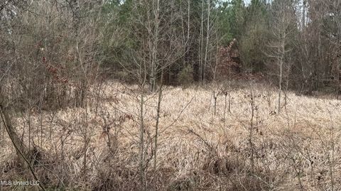 Vacant Land For Sale - 01 Magnolia Heights<br/> Scott County, Forest, MS 39074