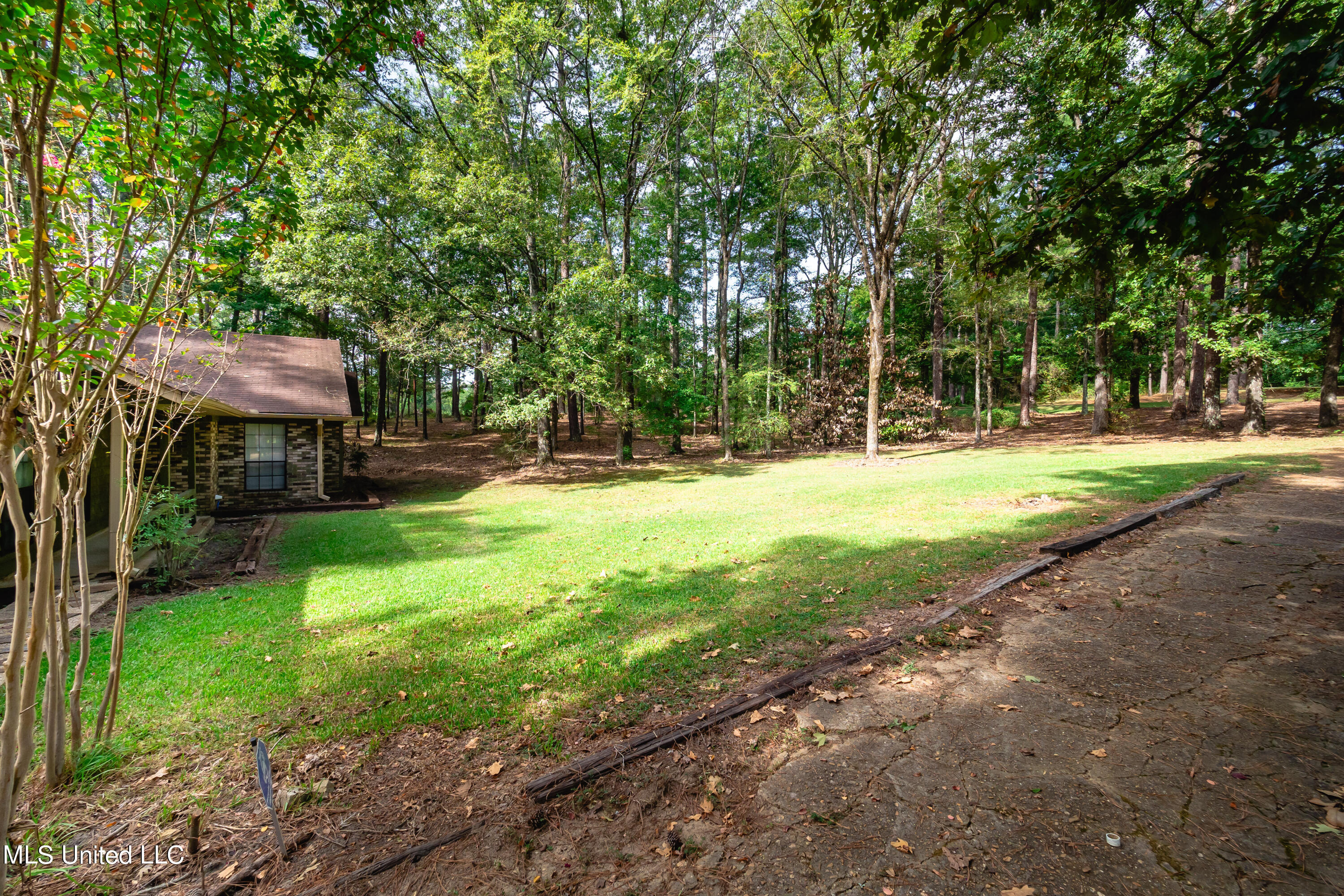 406 Springwood Circle, Terry, Mississippi image 3