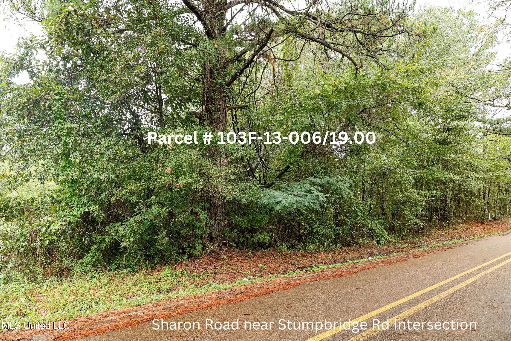 Sharon Road, Canton, Mississippi image 3