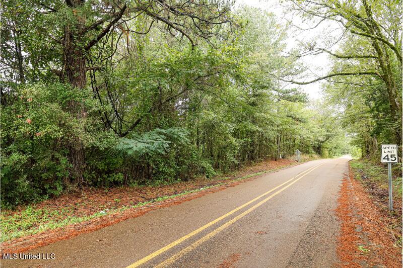 Sharon Road, Canton, Mississippi image 6