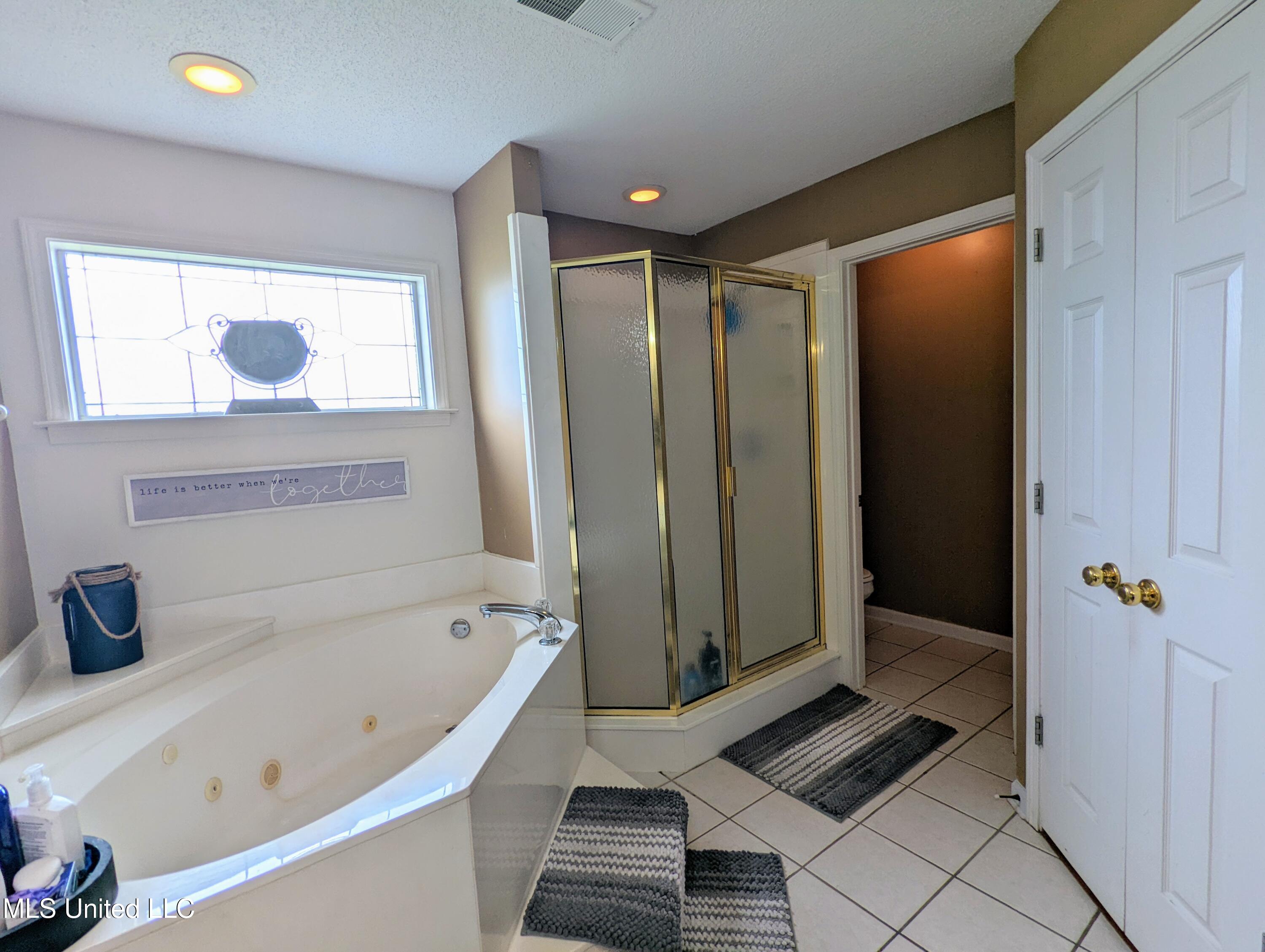 4253 Lakecrest Cove, Olive Branch, Mississippi image 21