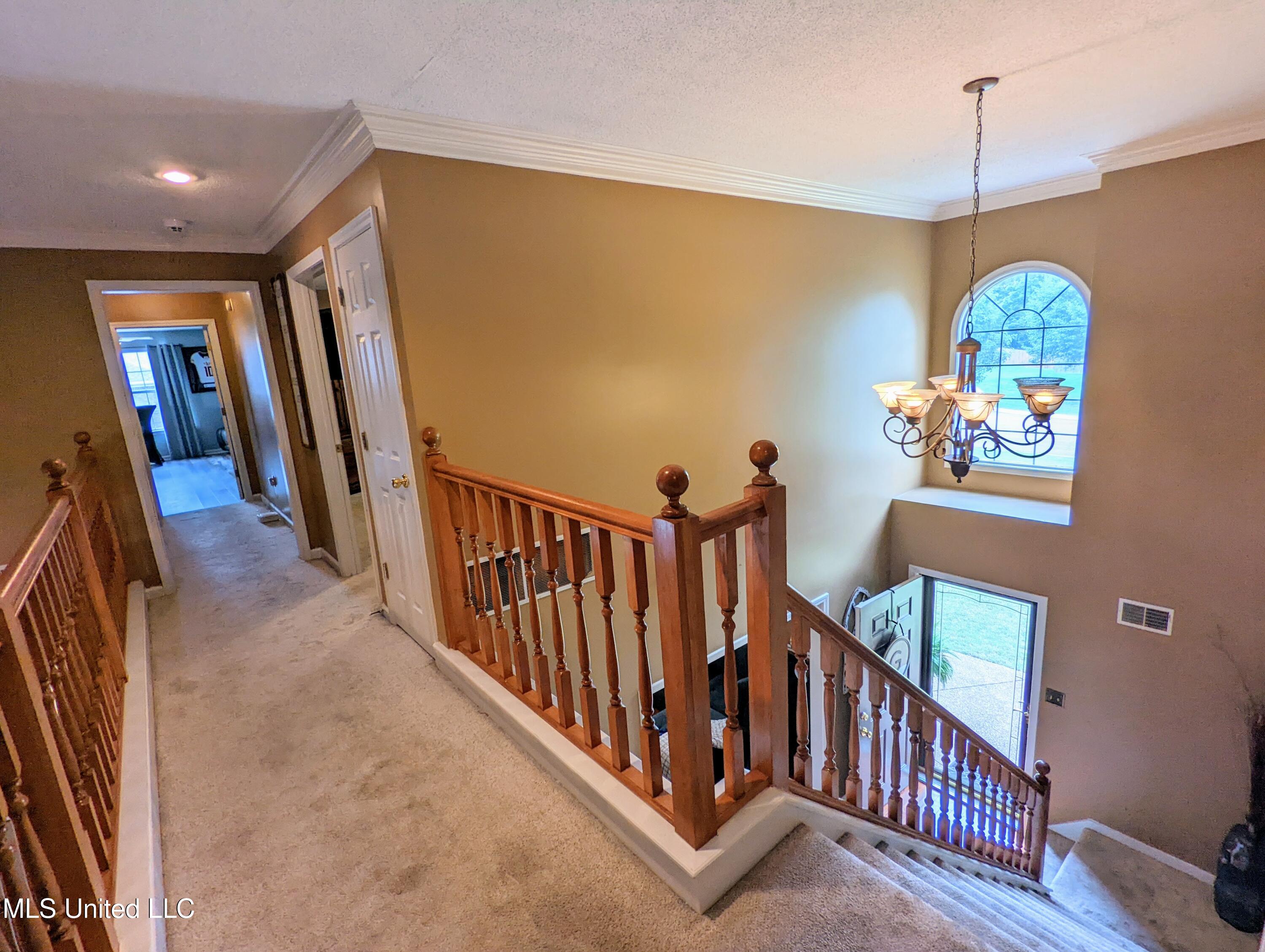 4253 Lakecrest Cove, Olive Branch, Mississippi image 23
