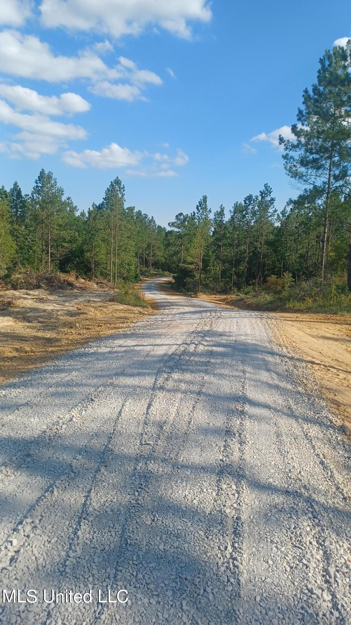 00000 W Firetower Road, Kiln, Mississippi image 4