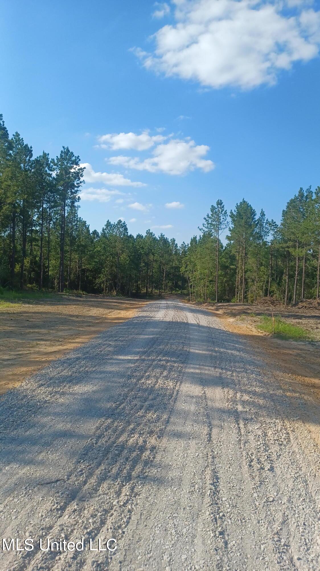 00000 W Firetower Road, Kiln, Mississippi image 3