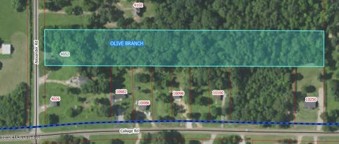 Vacant Land For Sale - 4052 Alexander Road<br/> Desoto County, Olive Branch, MS 38654