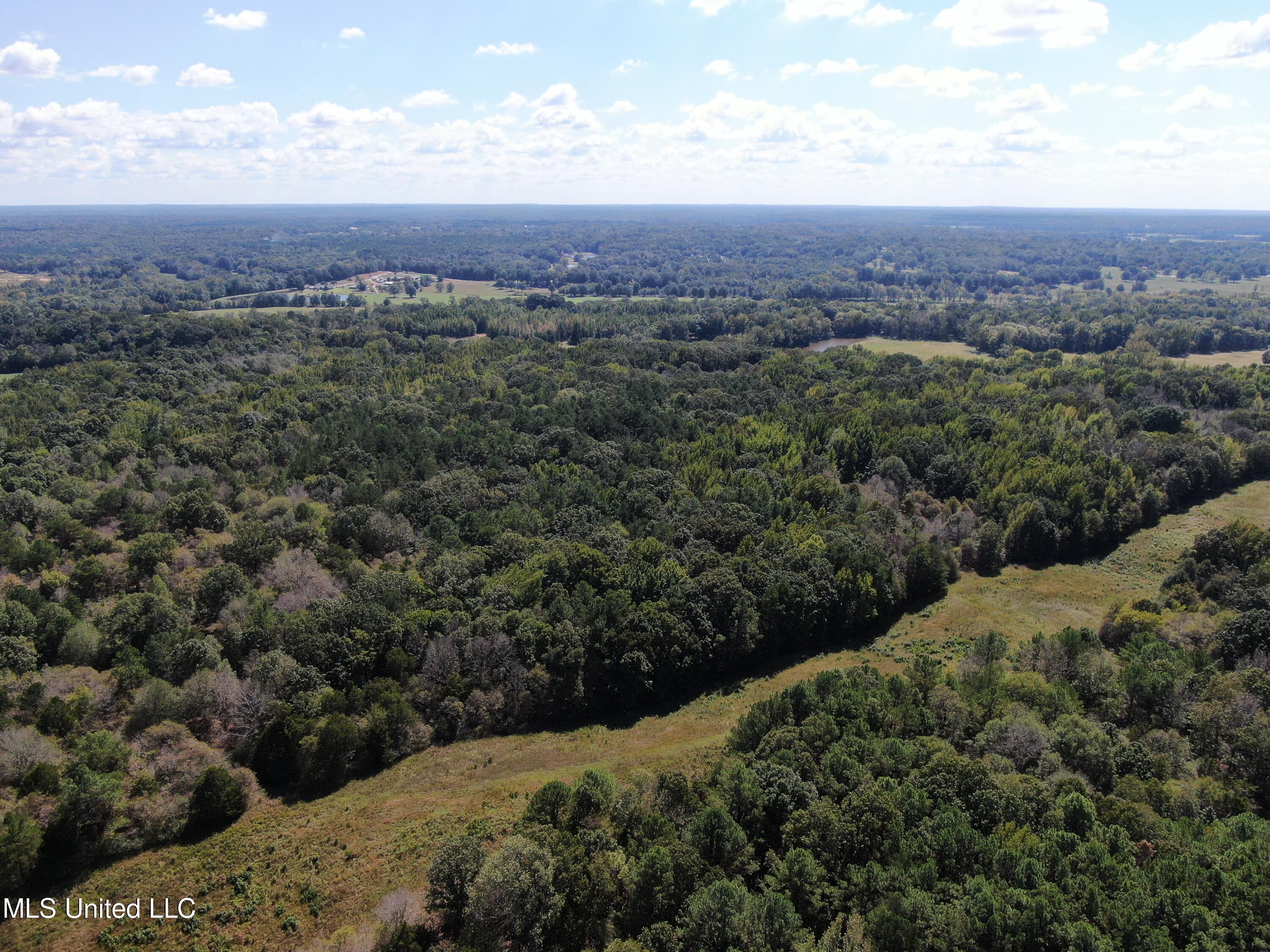 140 Cathy Road, Byhalia, Mississippi image 9