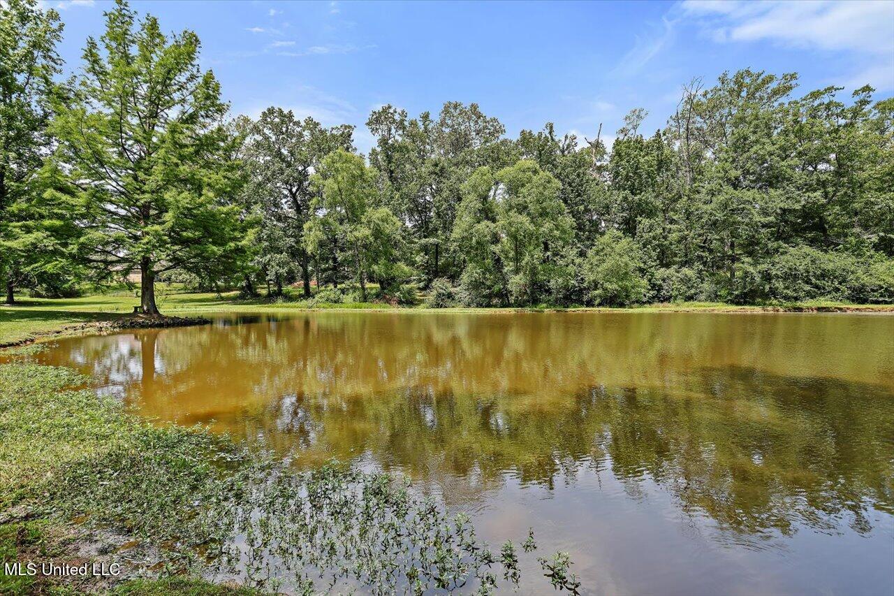 2230 Florence Byram Road, Florence, Mississippi image 41