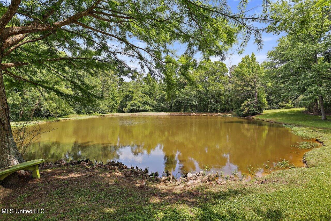 2230 Florence Byram Road, Florence, Mississippi image 3