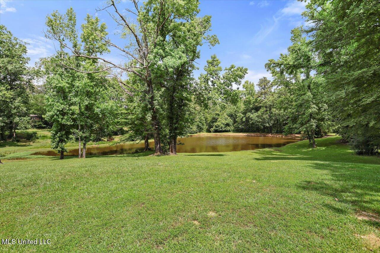 2230 Florence Byram Road, Florence, Mississippi image 40