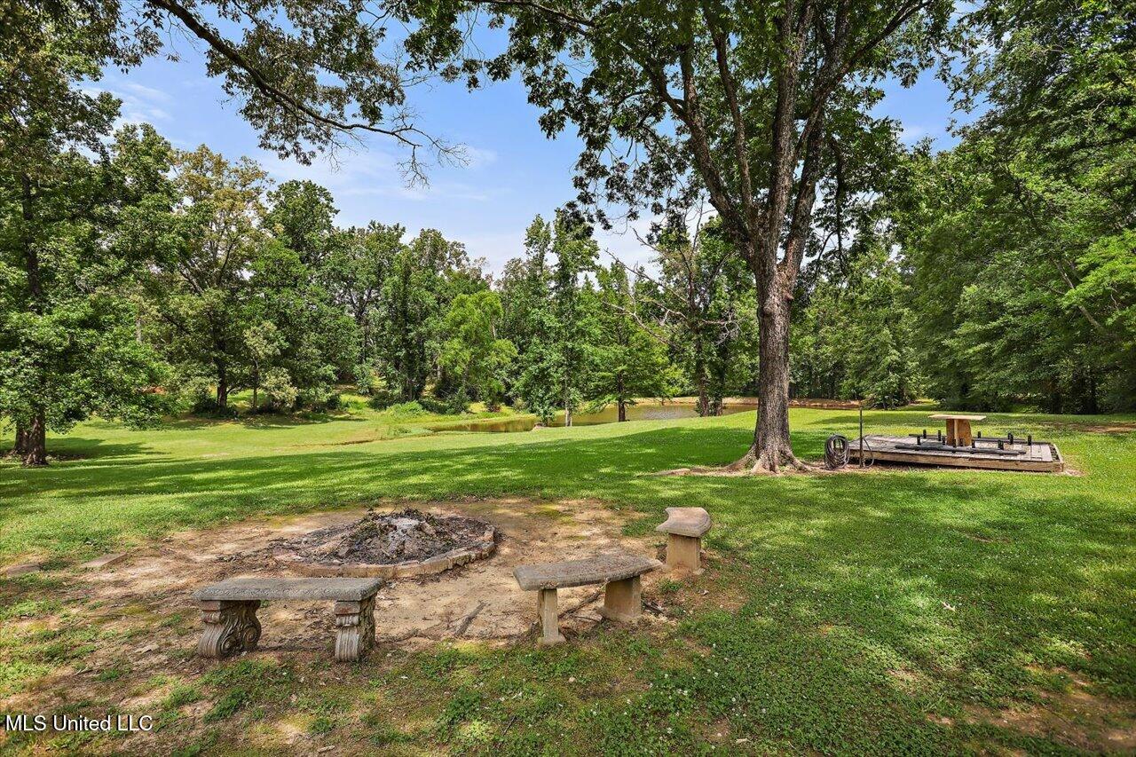 2230 Florence Byram Road, Florence, Mississippi image 38