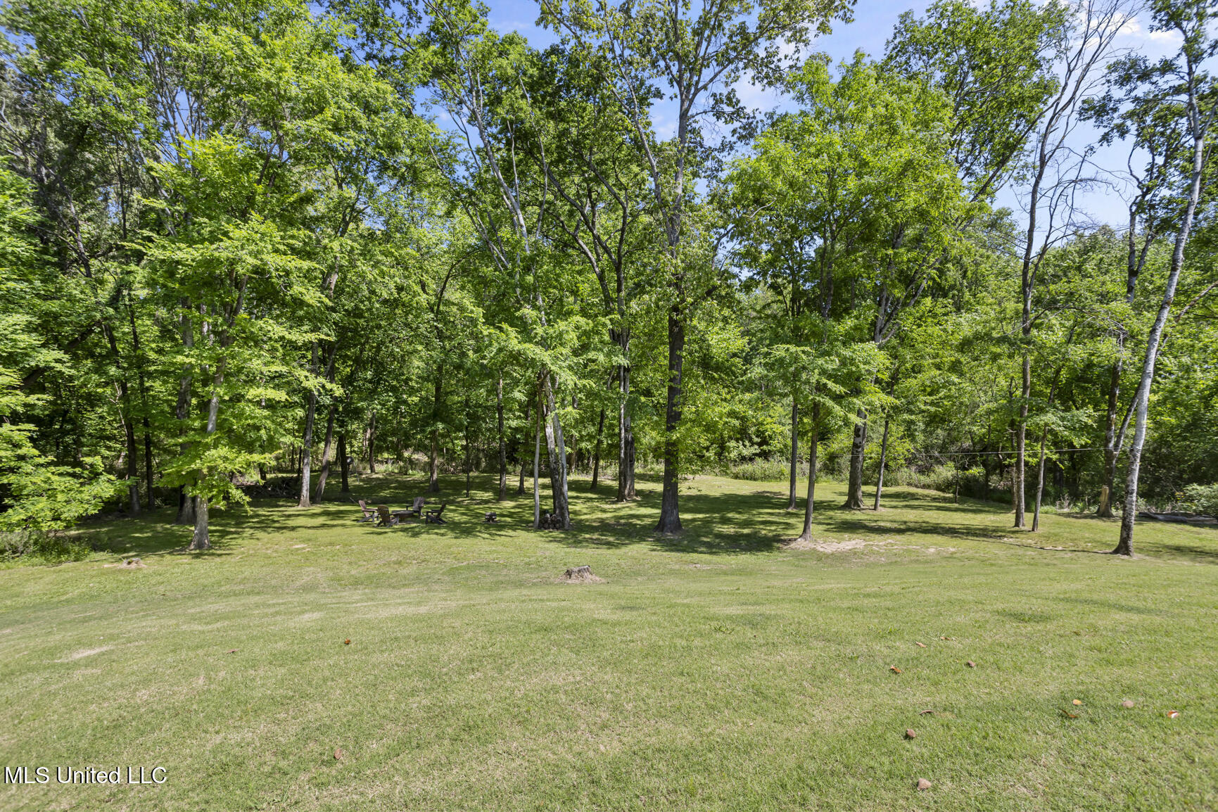 168 Chestnut Hill Road, Flora, Mississippi image 48