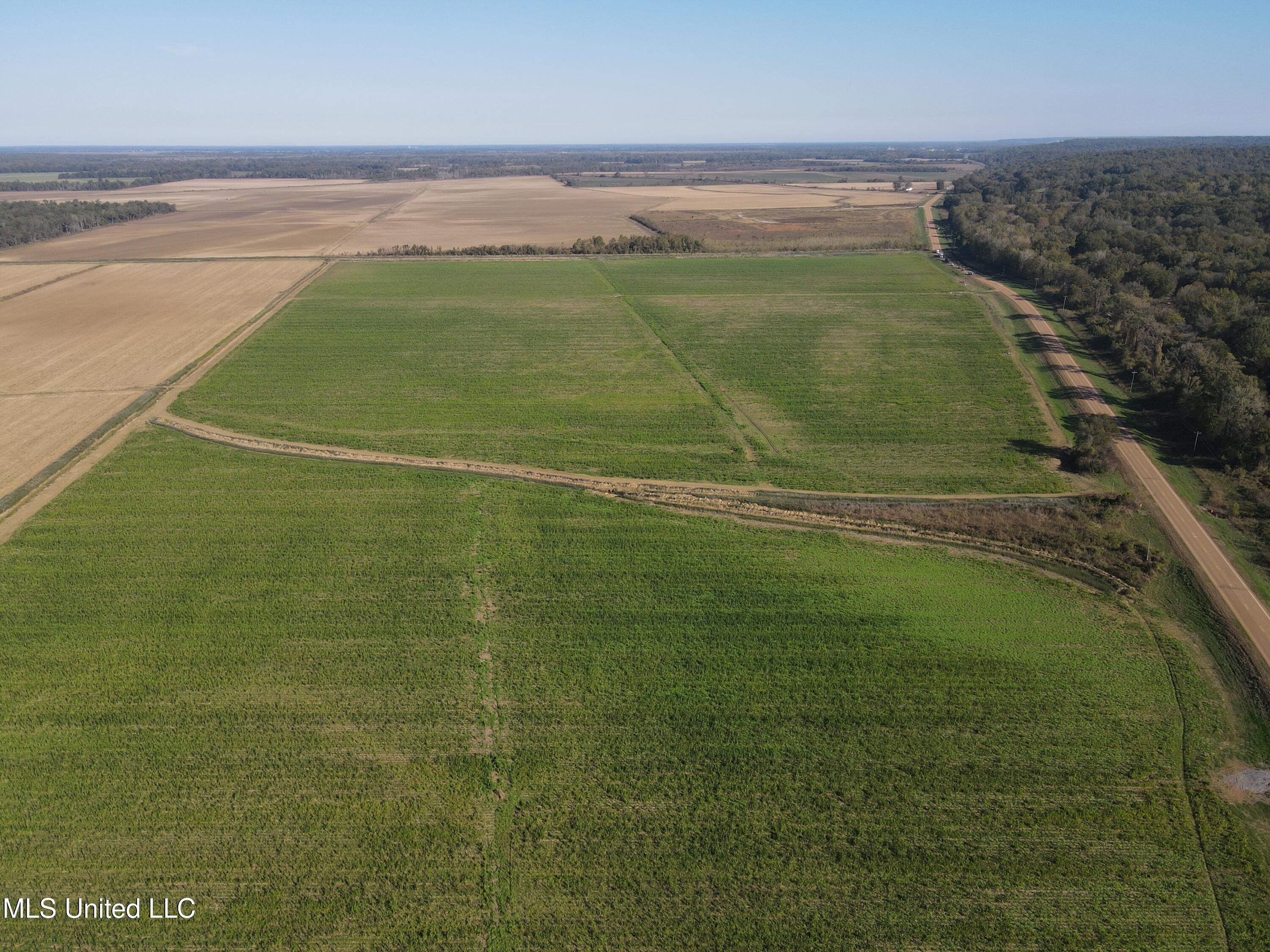 17822 Highway 3, Yazoo City, Mississippi image 6