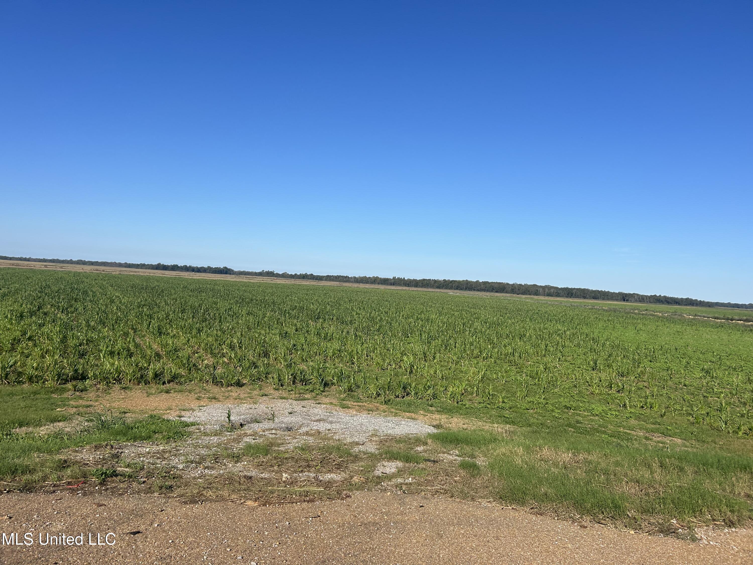 17822 Highway 3, Yazoo City, Mississippi image 16