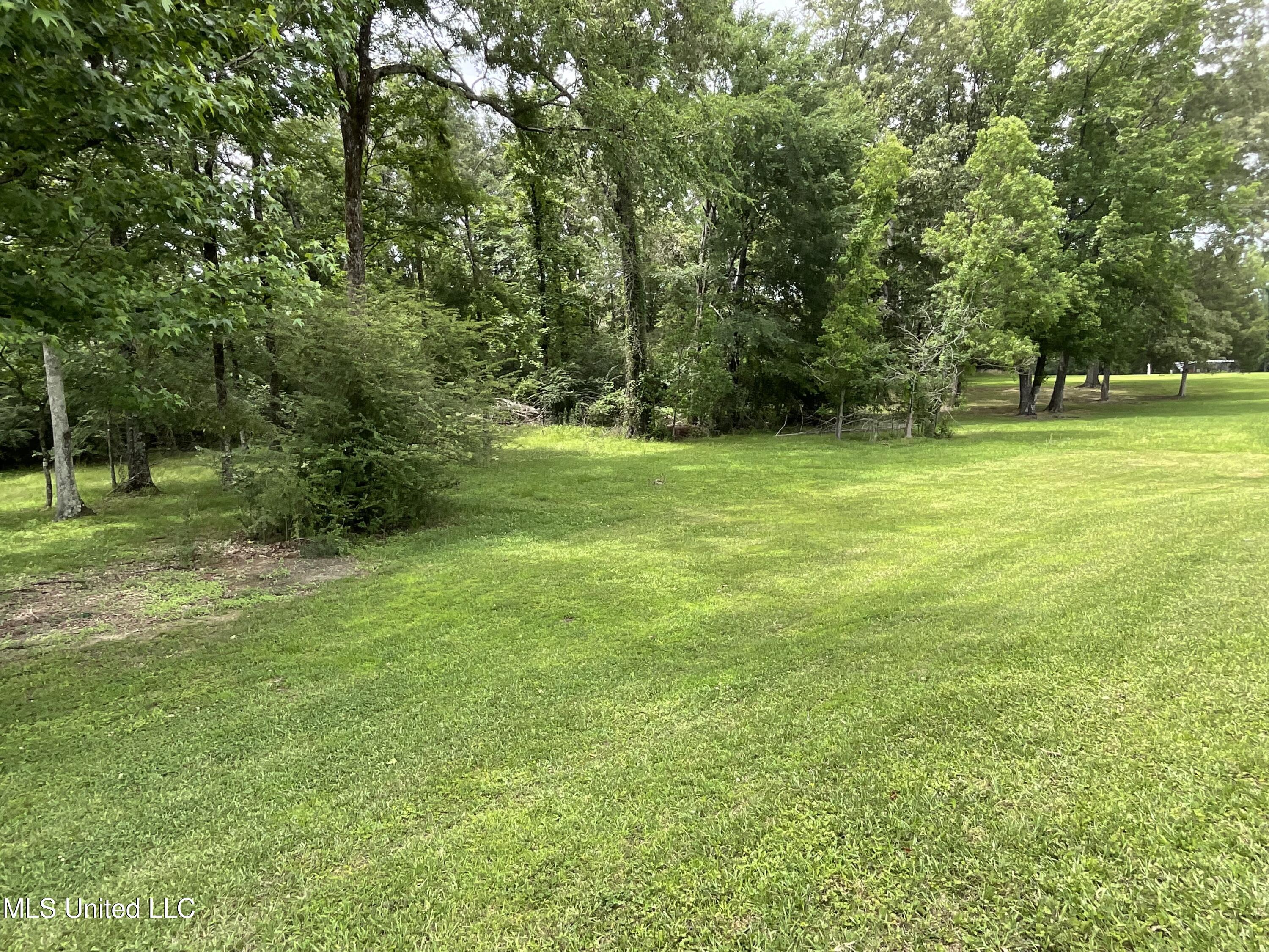 221 Pearlie Owens Drive, Byram, Mississippi image 23
