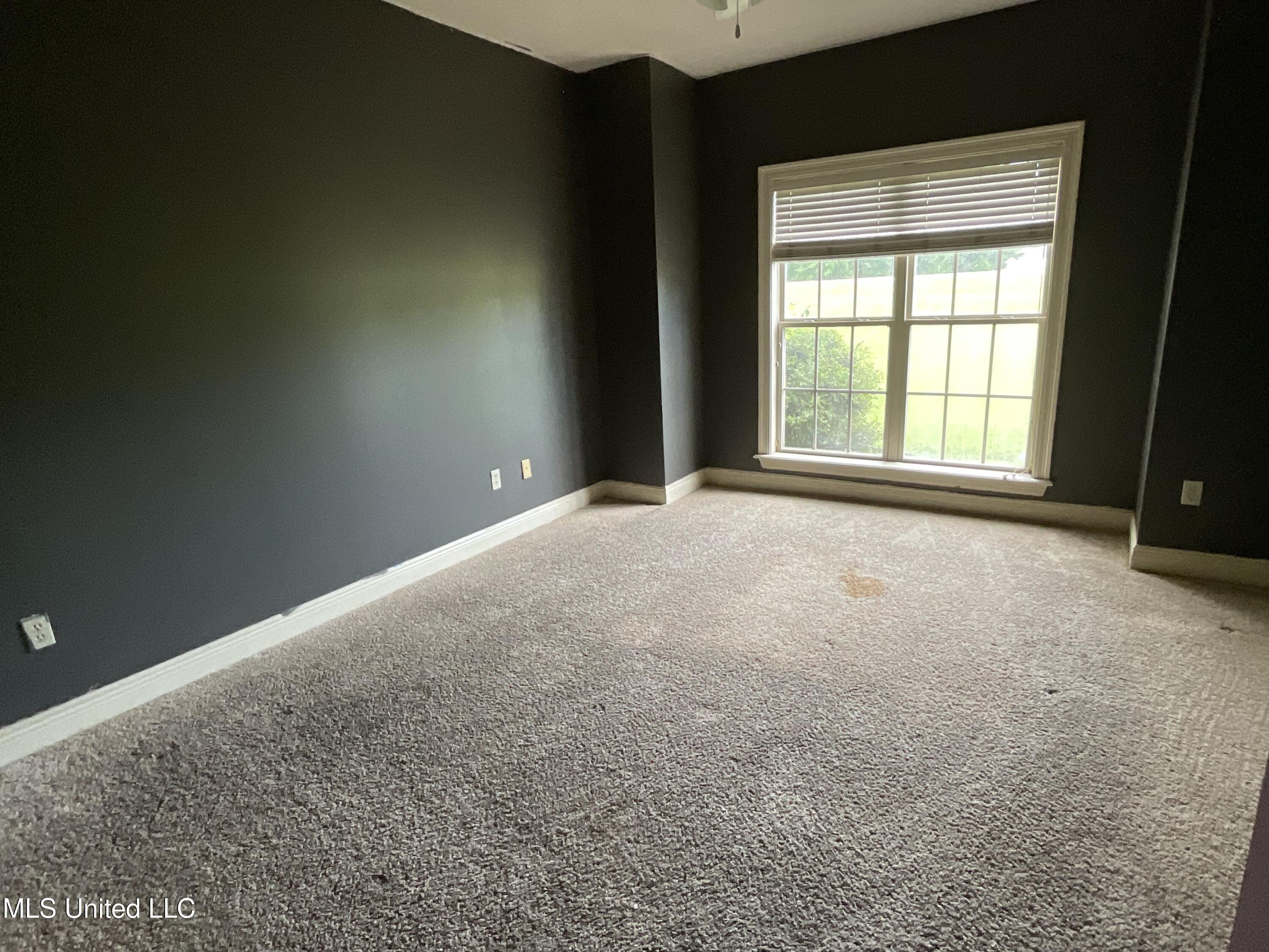 221 Pearlie Owens Drive, Byram, Mississippi image 9
