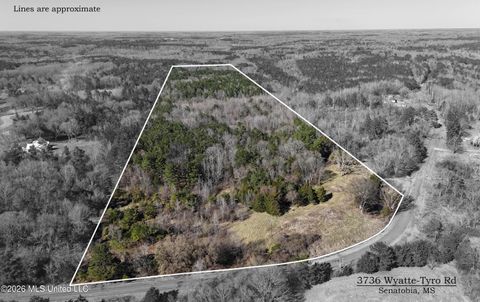 Vacant Land For Sale - 3736 Wyatte-tyro Road<br/> Senatobia, MS 38668