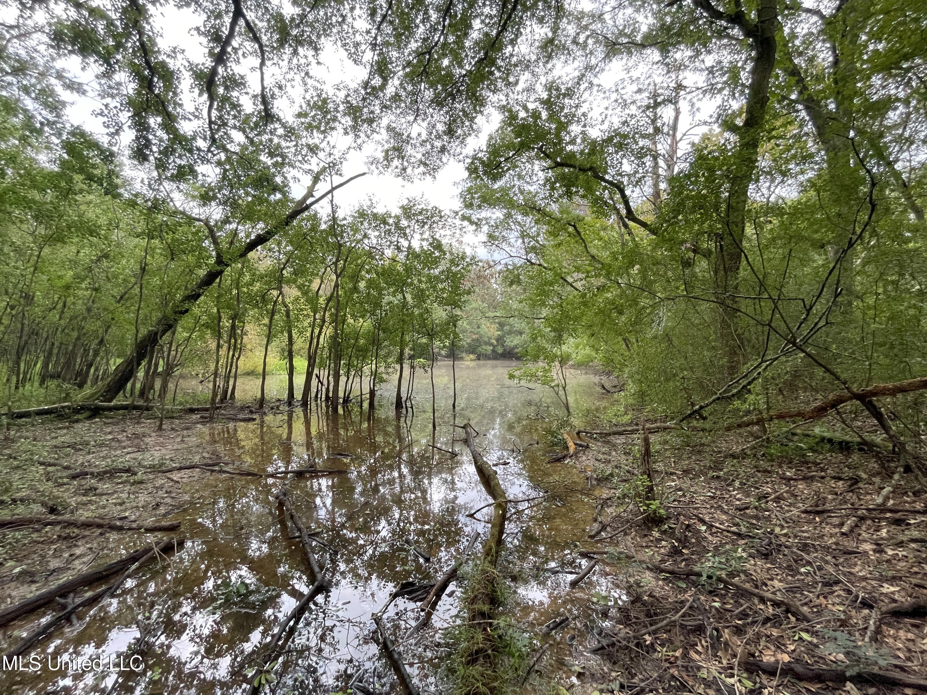 Methodist Home Road, Jackson, Mississippi image 5