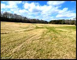00 Hwy 43, Carthage, Mississippi image 3