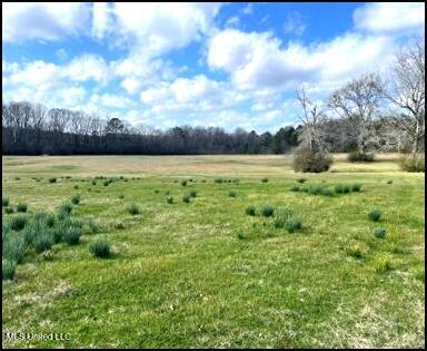 00 Hwy 43, Carthage, Mississippi image 6