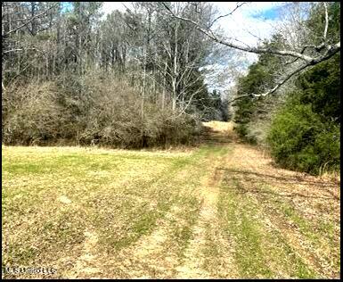 00 Hwy 43, Carthage, Mississippi image 7