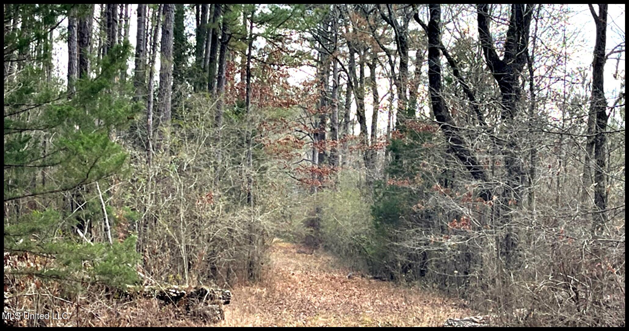 00 Hwy 43, Carthage, Mississippi image 18