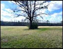 00 Hwy 43, Carthage, Mississippi image 4