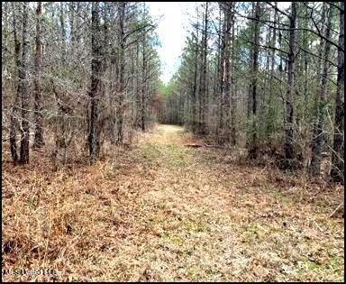 00 Hwy 43, Carthage, Mississippi image 19