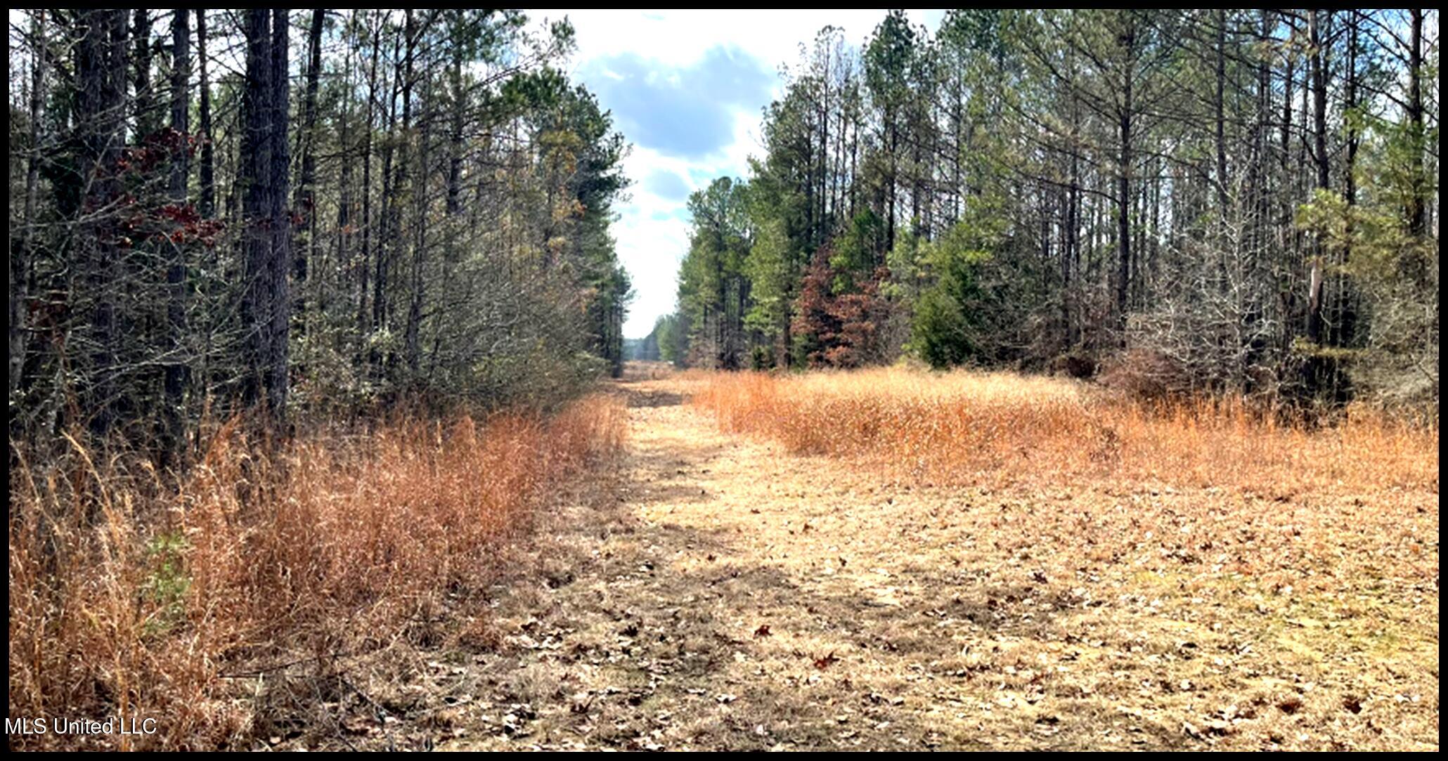 00 Hwy 43, Carthage, Mississippi image 16
