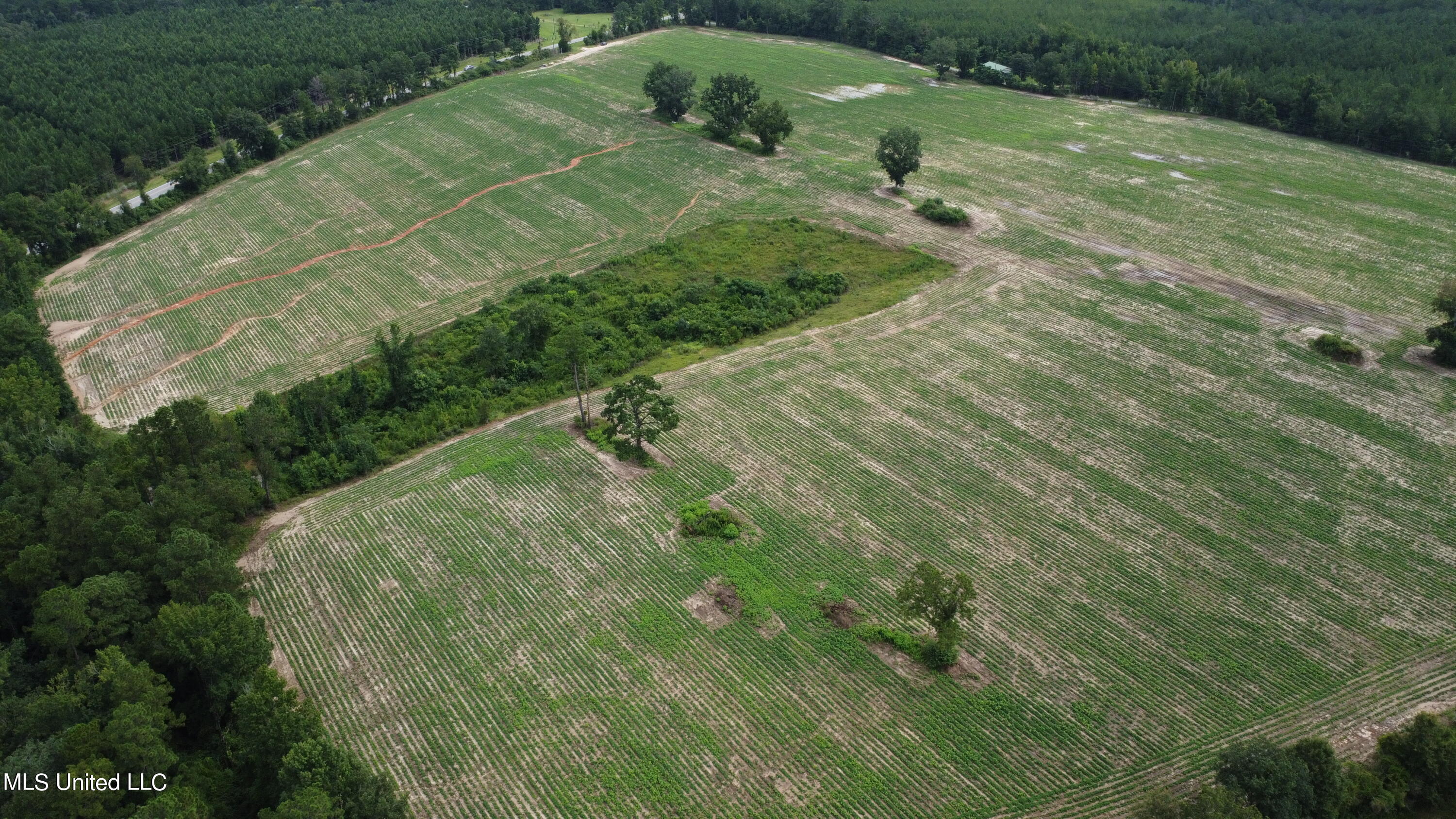 56 +- Ac Highway 63 N, Lucedale, Mississippi image 1