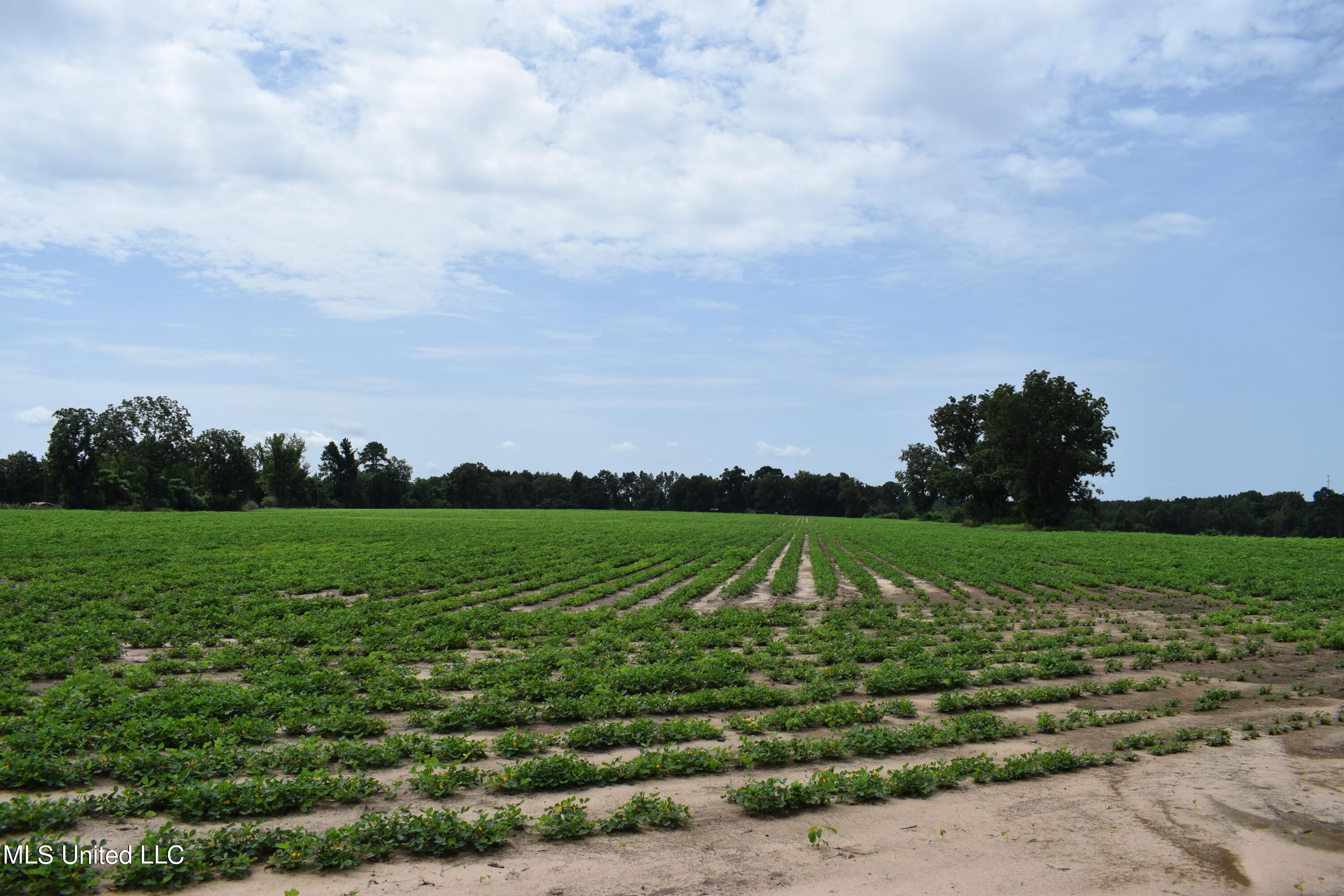 56 +- Ac Highway 63 N, Lucedale, Mississippi image 13