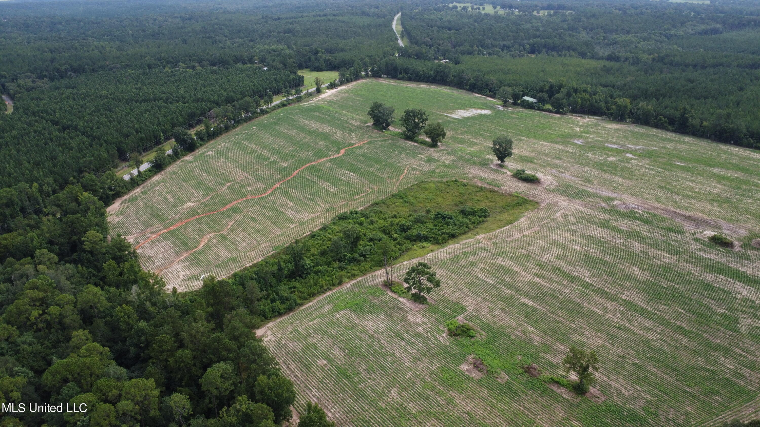 56 +- Ac Highway 63 N, Lucedale, Mississippi image 9