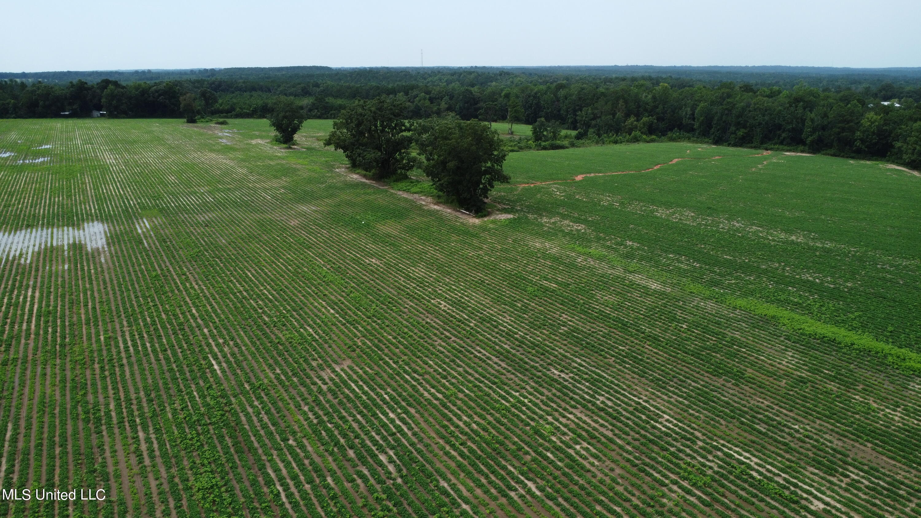 56 +- Ac Highway 63 N, Lucedale, Mississippi image 2