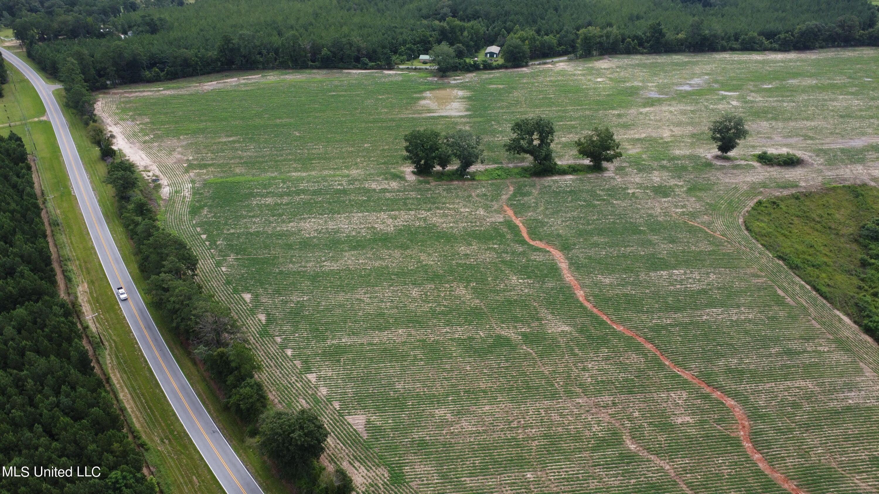 56 +- Ac Highway 63 N, Lucedale, Mississippi image 7