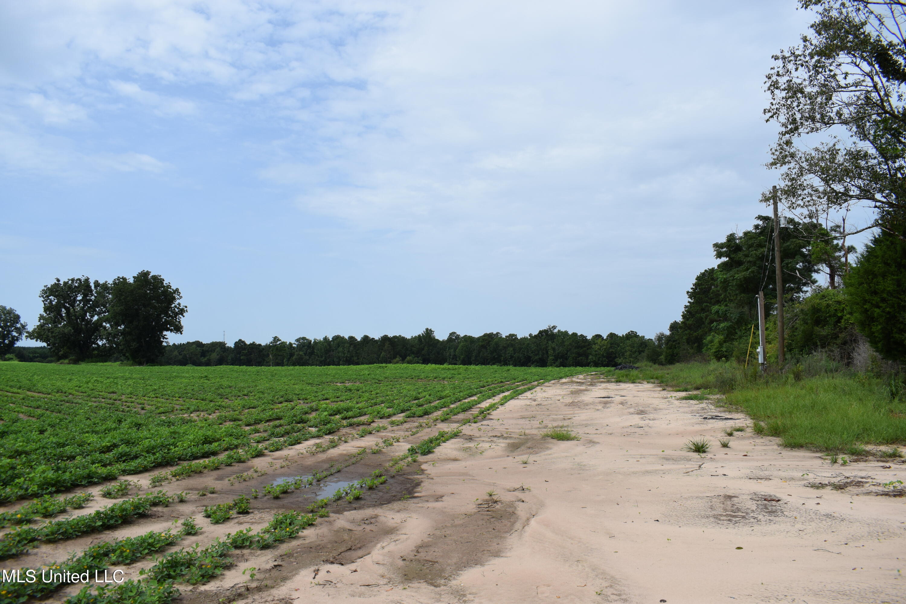 56 +- Ac Highway 63 N, Lucedale, Mississippi image 12