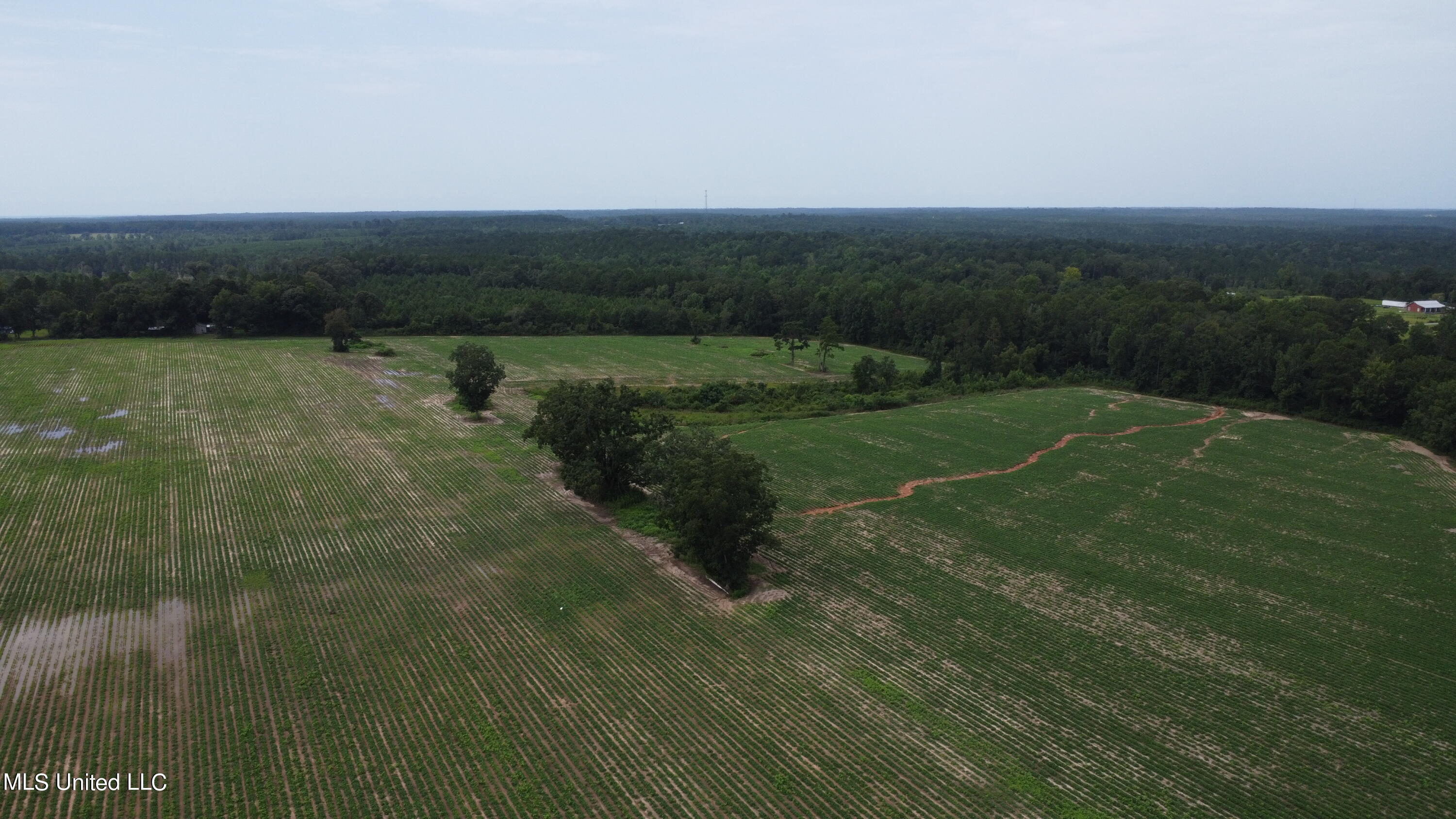 56 +- Ac Highway 63 N, Lucedale, Mississippi image 3