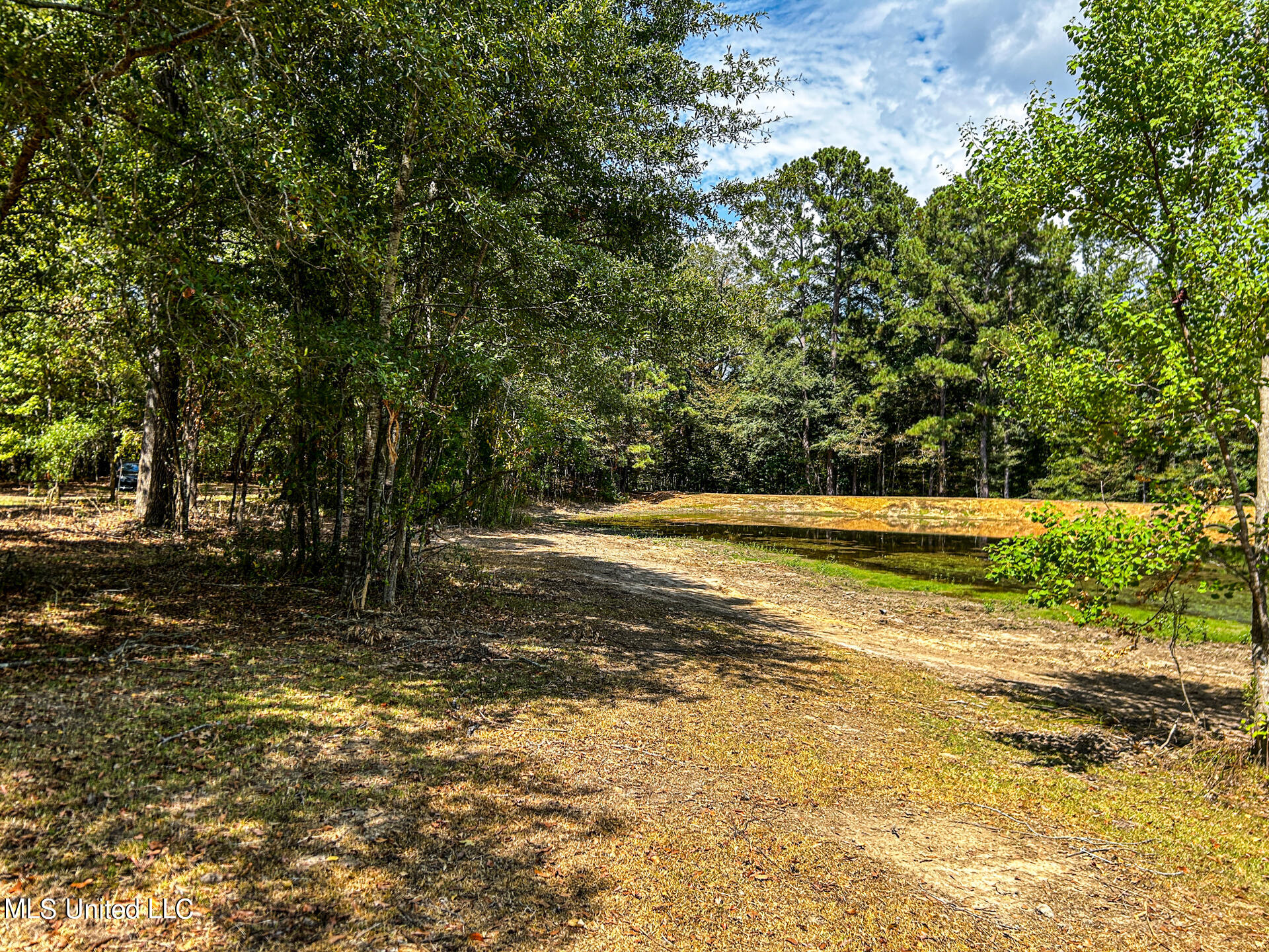 Us-80, Brandon, Mississippi image 7