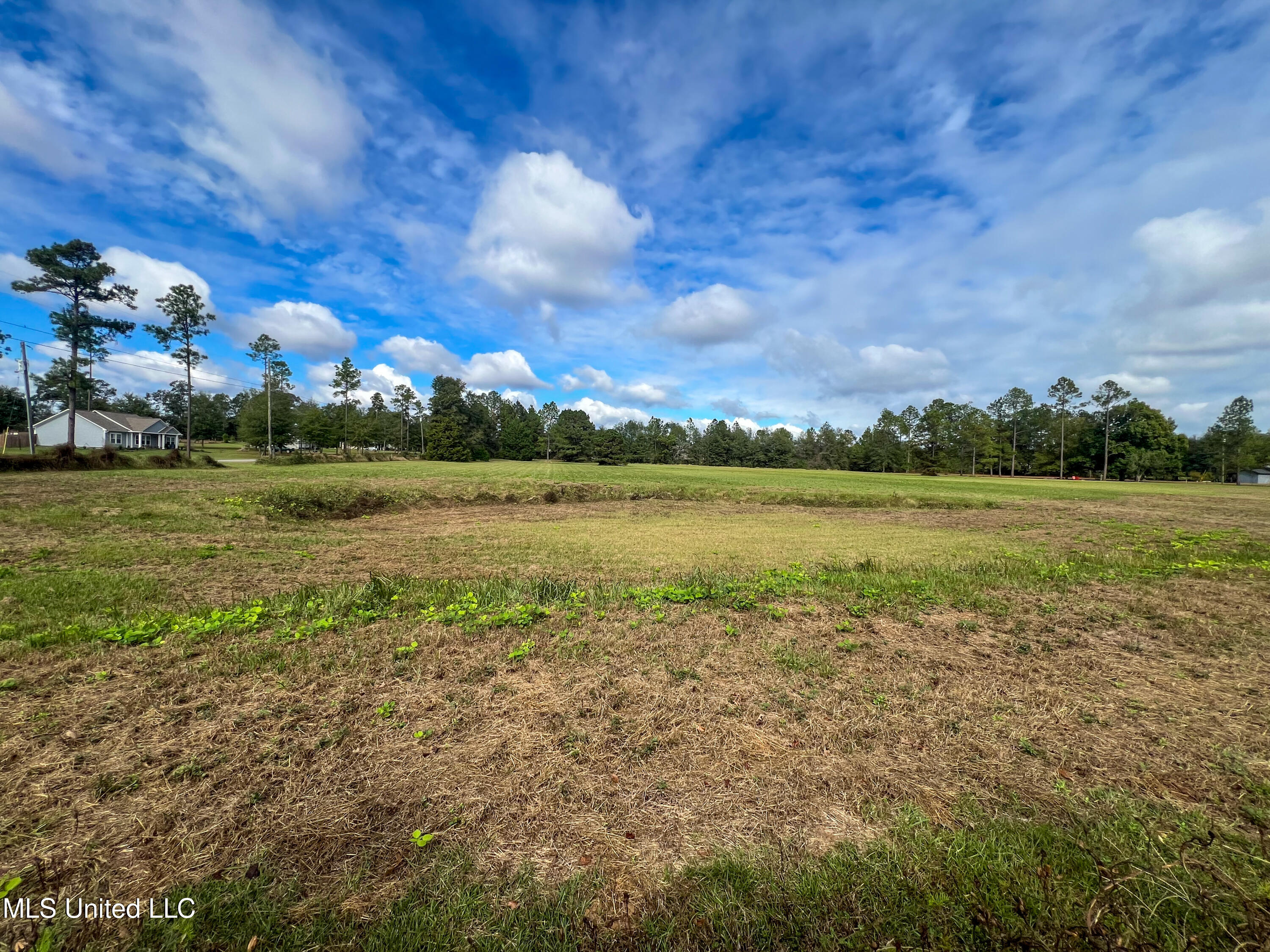 8 Ac Lloyd Eubanks Road, Lucedale, Mississippi image 10