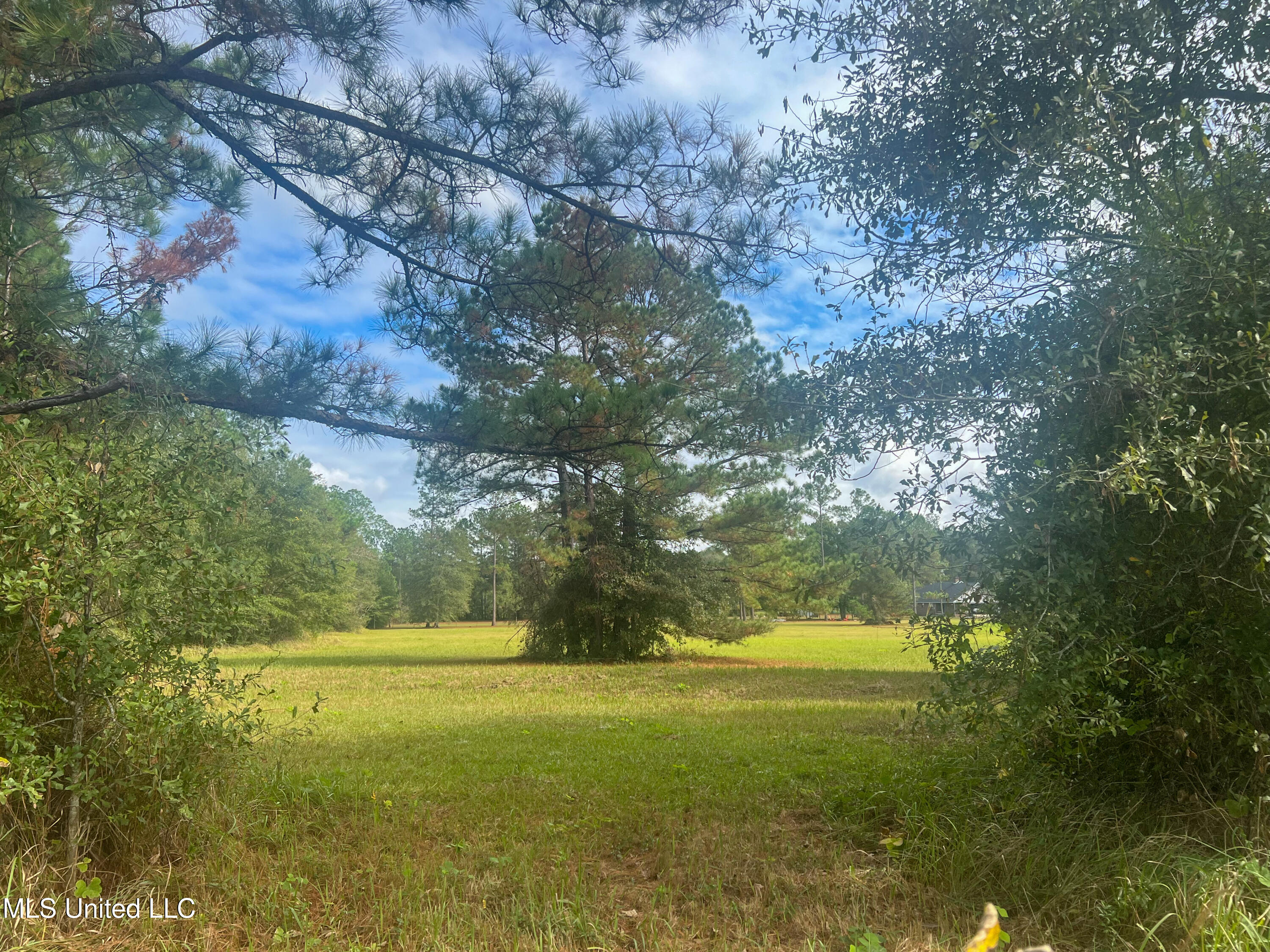 8 Ac Lloyd Eubanks Road, Lucedale, Mississippi image 6