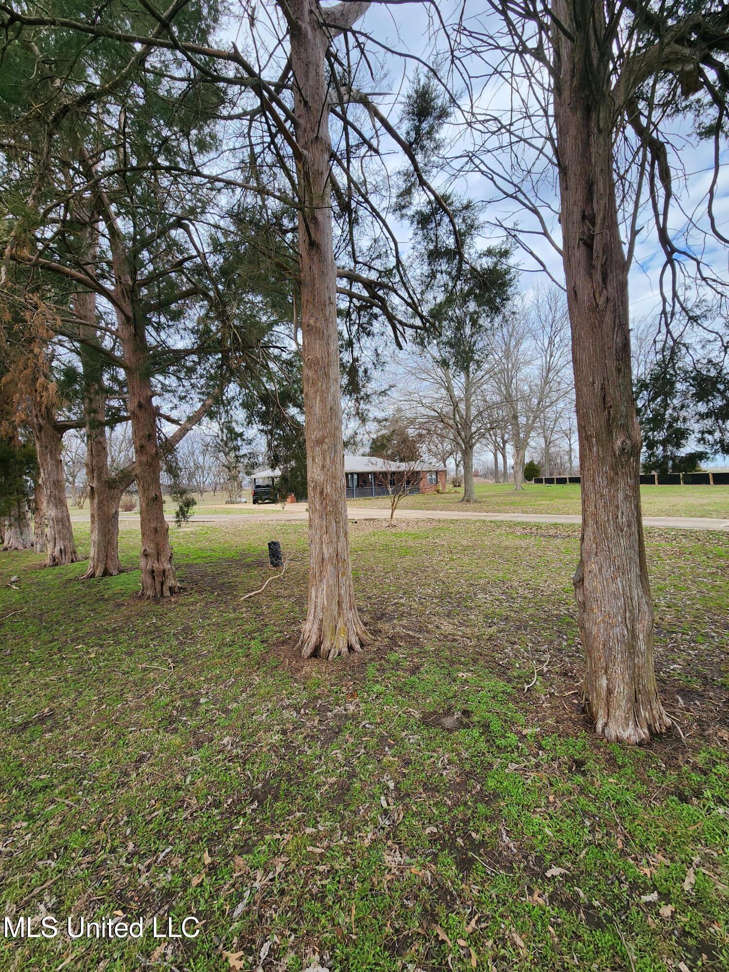 8925 Highway 49, Clarksdale, Mississippi image 5