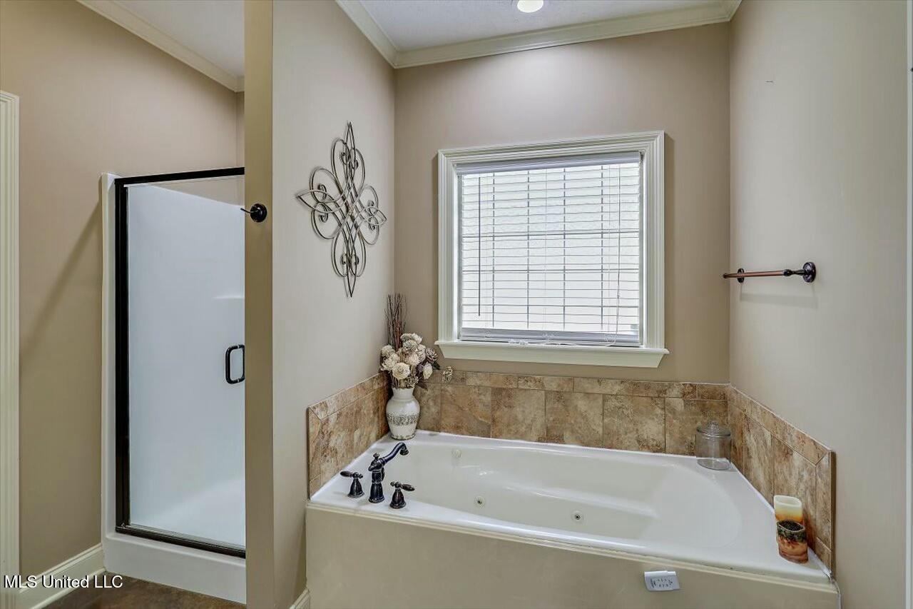908 Caitlin Cove, Brandon, Mississippi image 22